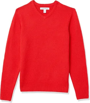 Amazon Essentials Men's Long-Sleeve Soft Touch V-Neck Sweater